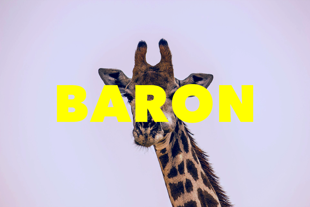 Poem: Baron