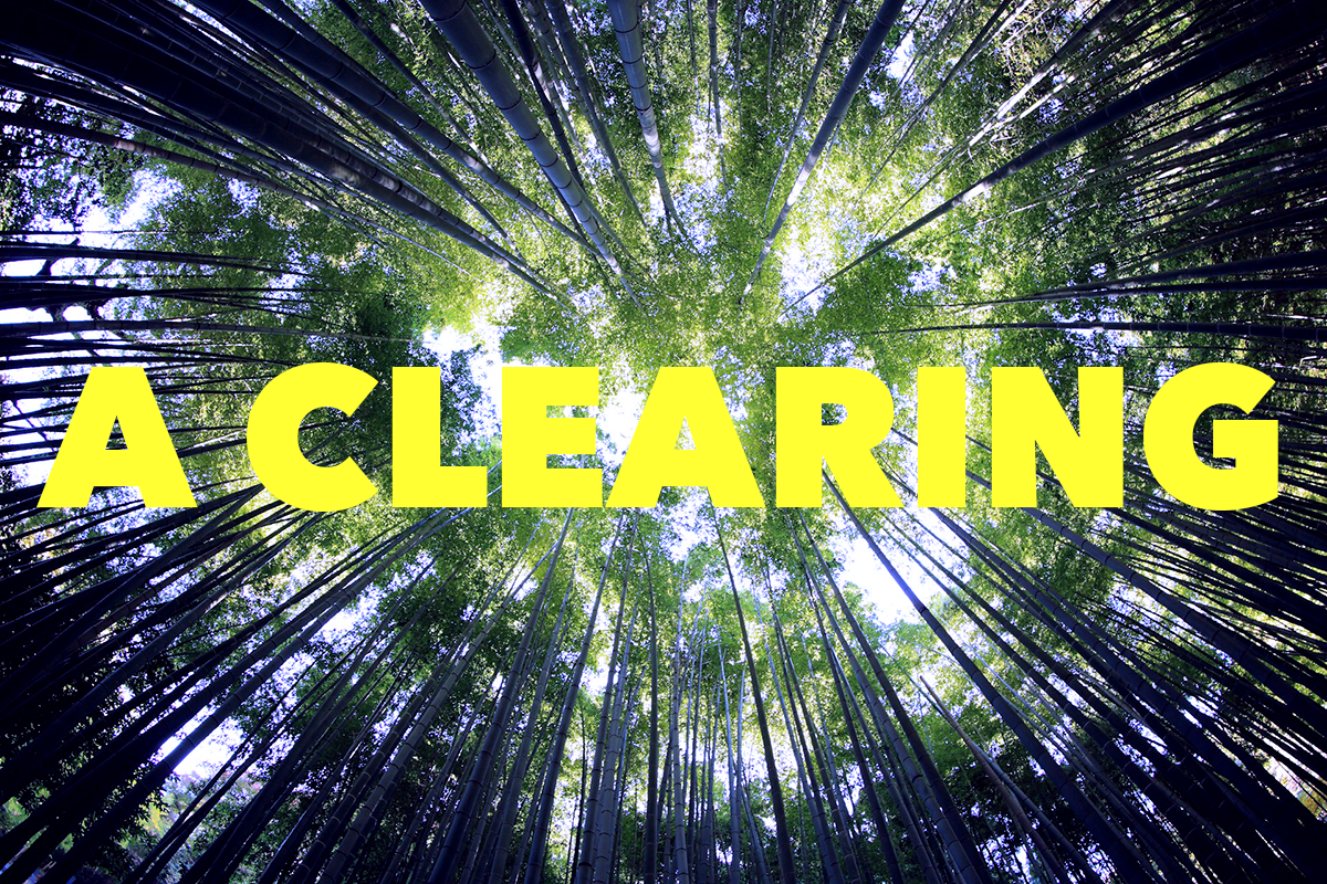 Poem: A Clearing