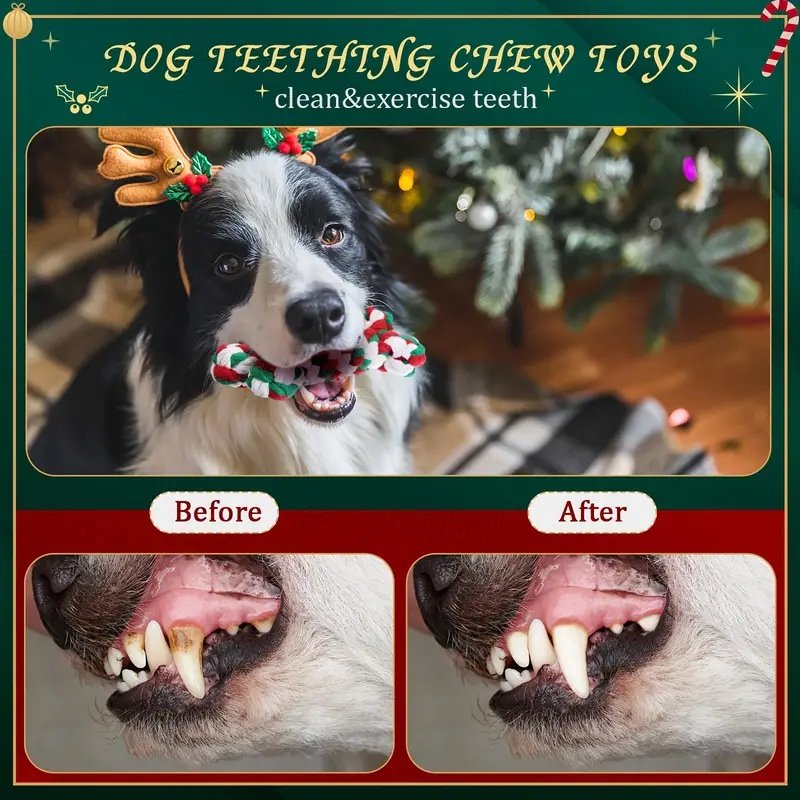 clean_exercise_teeth_bones.jpg