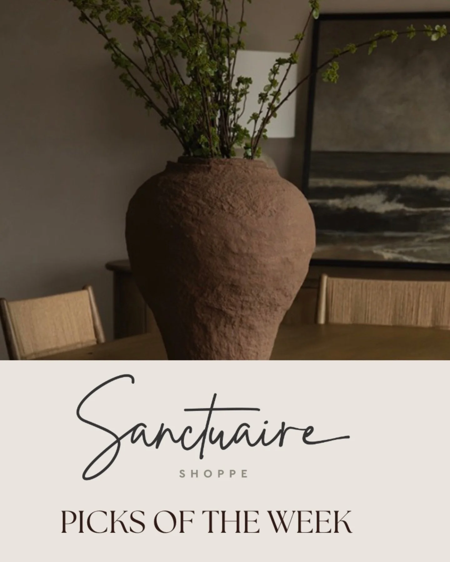 Shoppe Picks of the week 🤍

Curated finds to elevate your space. From luxe floral pillow covers to sculptural stems and curated art, these pops of green are the perfect refresh to elevate your space post-holidays.

Open 9-4 | Come Shoppe with us!