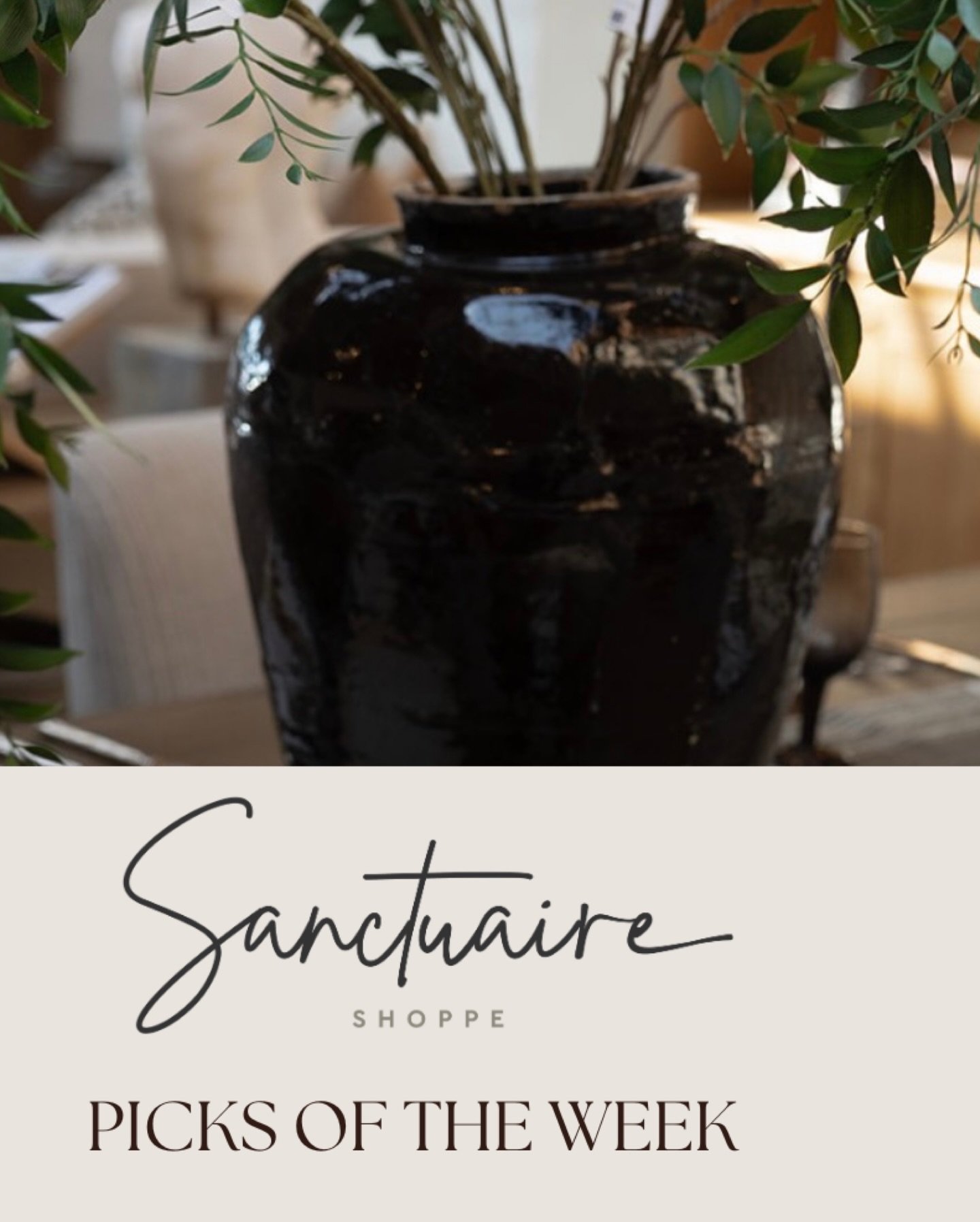 Happy Tuesday ✨ Here are this week&rsquo;s Shoppe Picks.

From our Eucalyptus stems to our rattan napkin rings, we have all you need to set your Easter table scape.

Open 9-4 | Come Shoppe with us 🤍