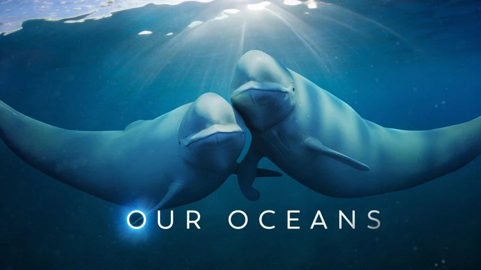 Our Oceans - Netflix