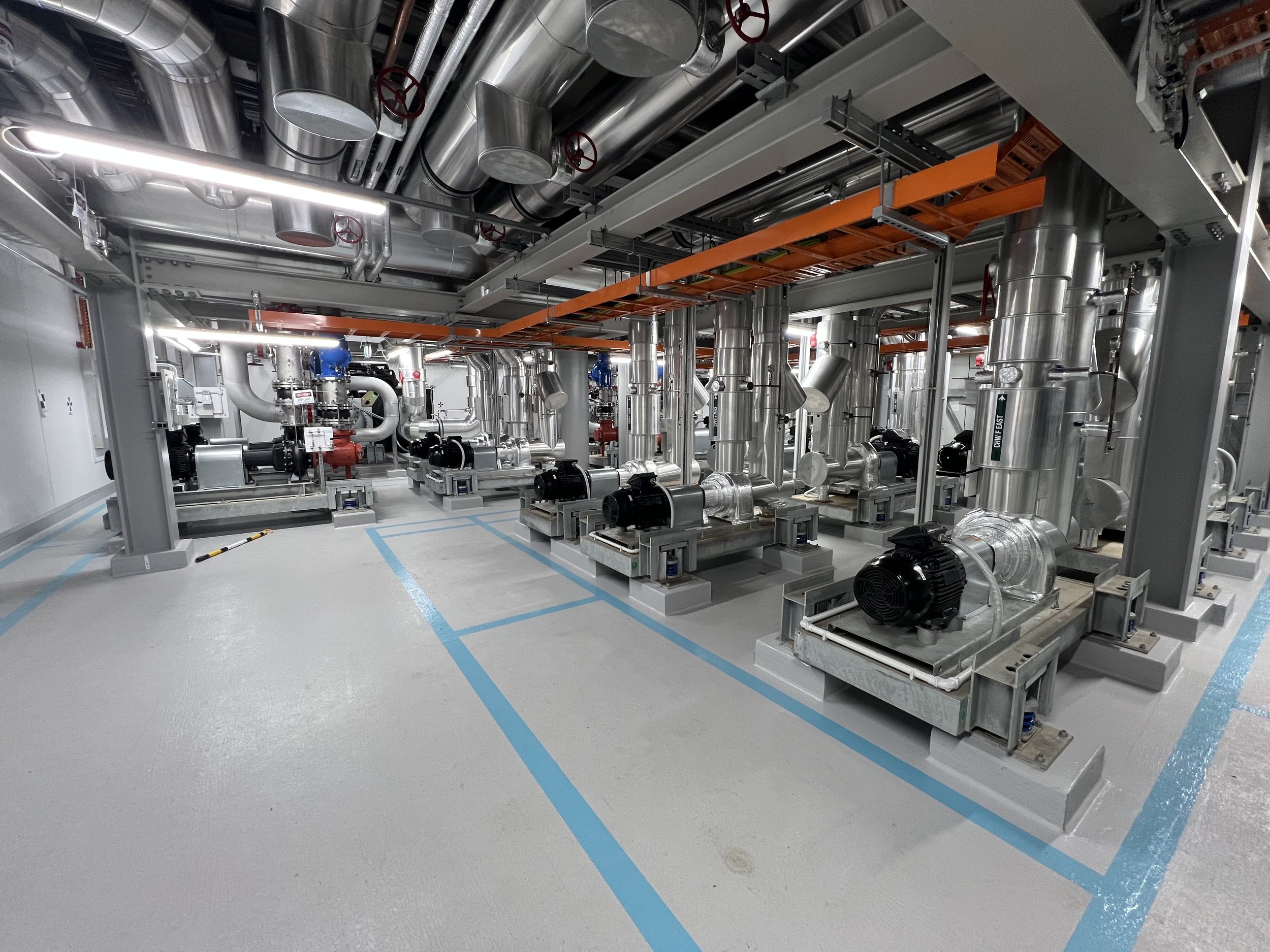 IMG_7968.jpeg