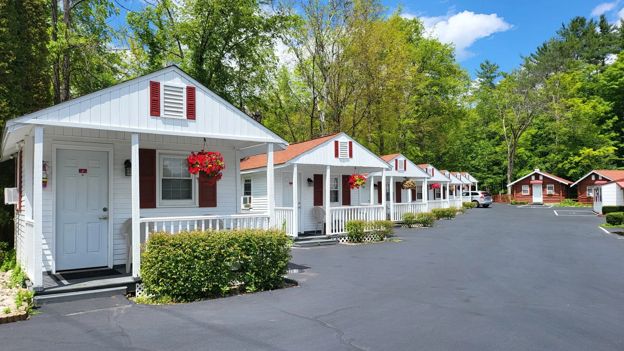 PHOTO-2026-01-07-20-19-32 4.jpg