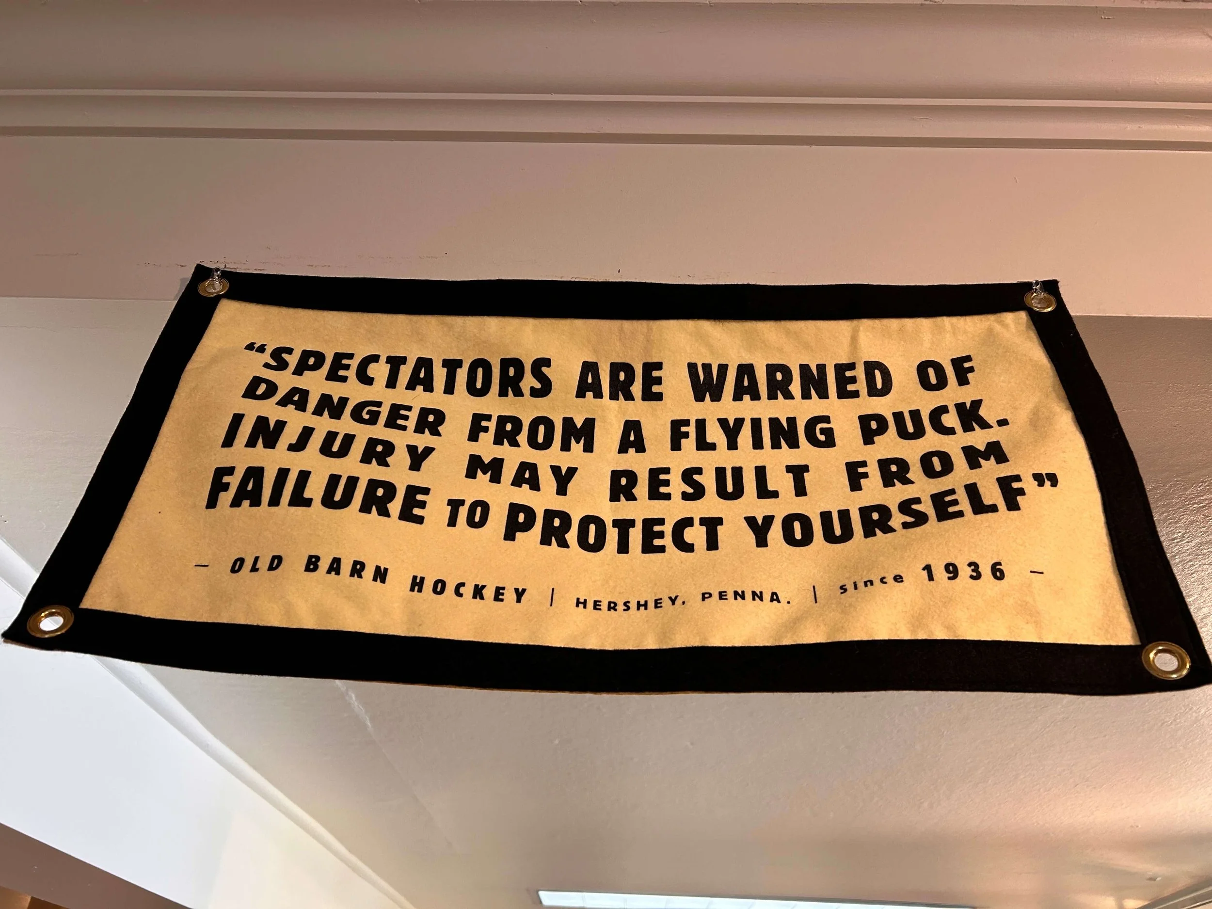 flying-puck-banner.JPG