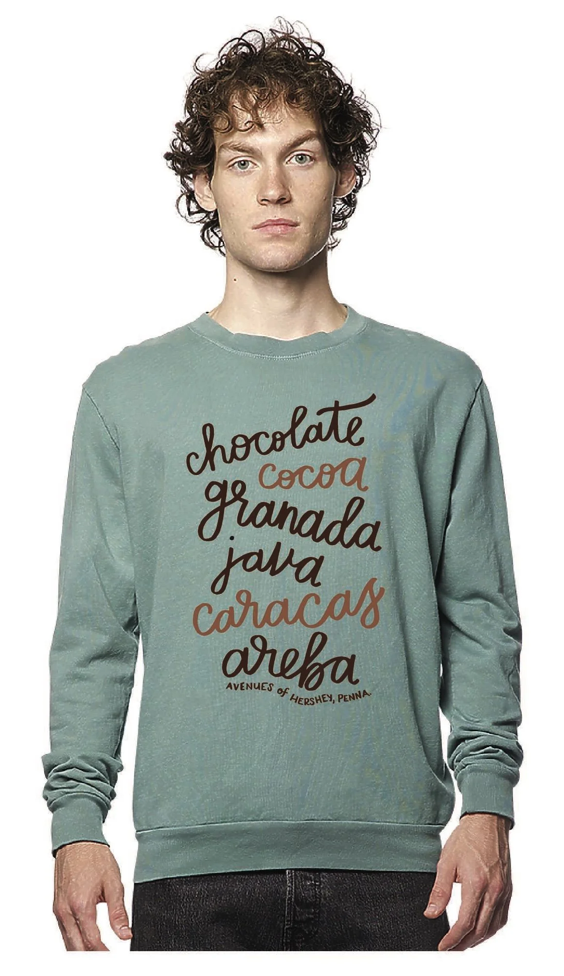 avenues-of-hershey-crewneck-sweatshirt.jpg