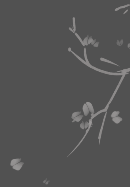 light gray and white blossom branch coming in from right on dark gray background