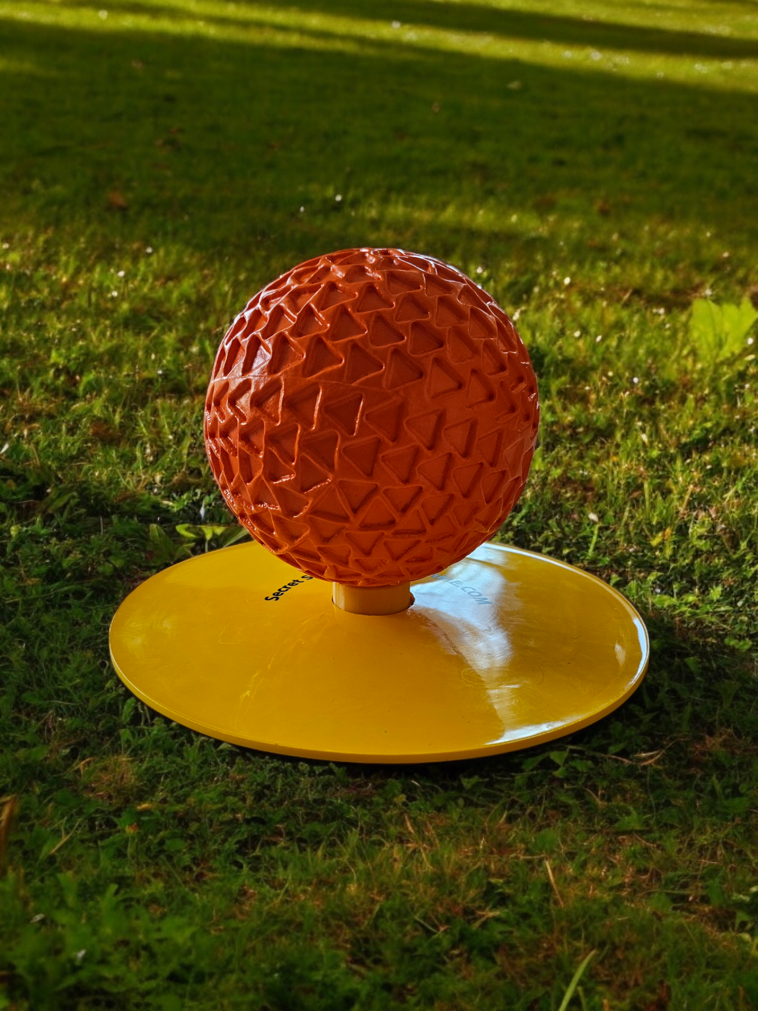 3_4 in spotee with ball.png