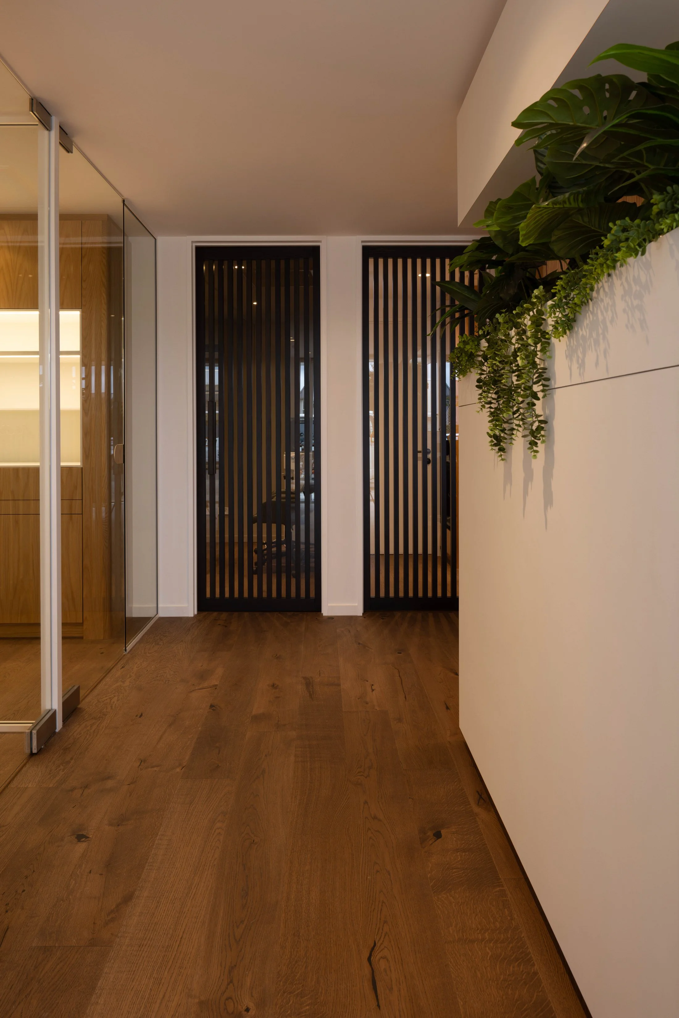 Interior view of a modern hallway with wooden flooring, white walls, black vertical slatted doors, and a green plant on a ledge.
