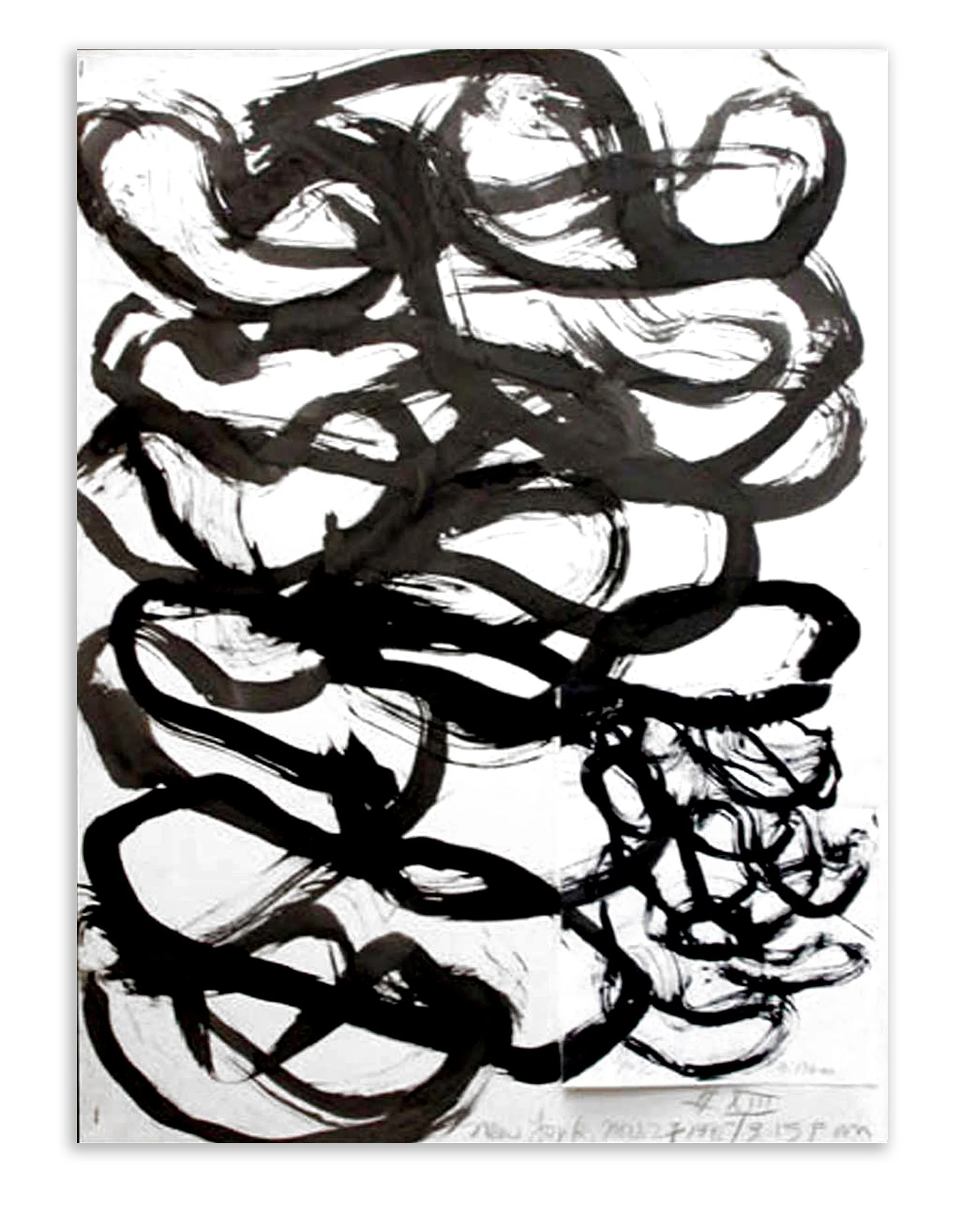 NEW FLOWER XIII
1995
30 x 22 inches
Ink, graphite, and collage elements on paper.