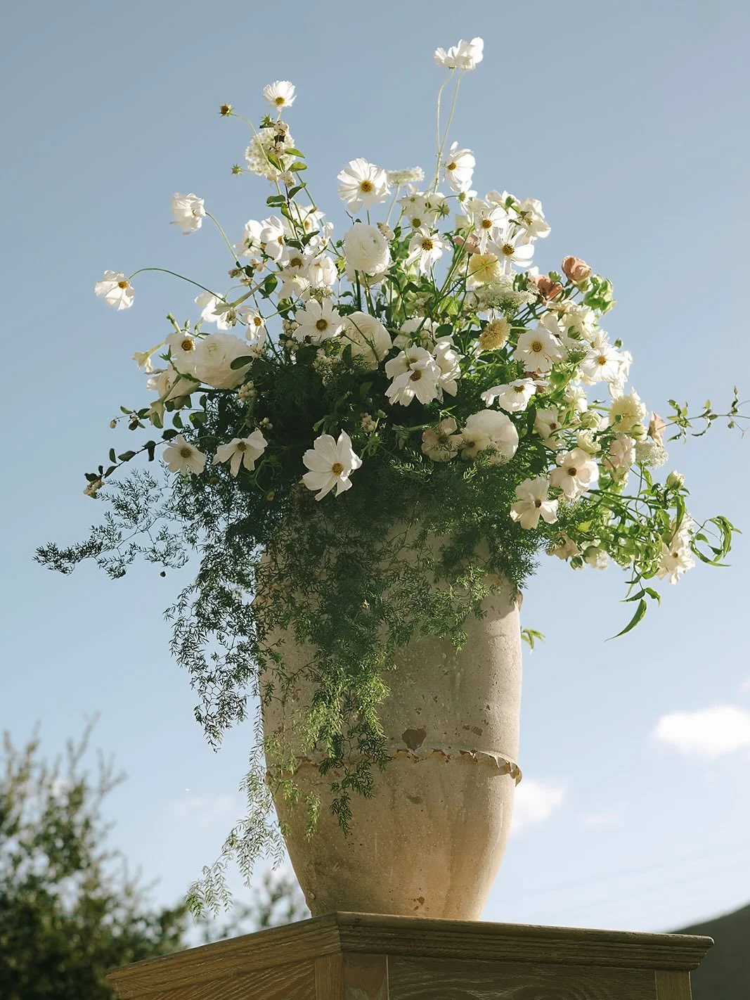 Sneak peaks of S &amp; R&rsquo;s special, beautiful day 🫶🏼

Planning @anoushigevents 
Photo @kapephotography
Florals @brookebloom.co 
Venue @theswannerhouse_1923 
Entertainment @secondsong_official 
Rentals @foundrentalco @sigpartyrentals @bbjlatav