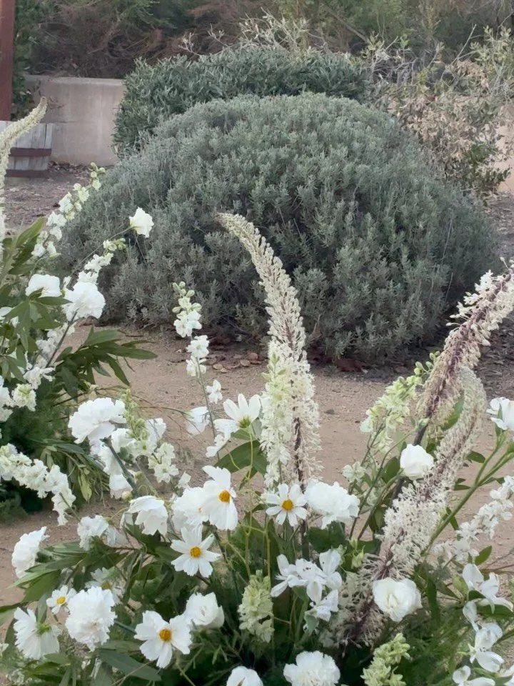 For K&amp;J 🌾

photographer: @tayjoyphoto