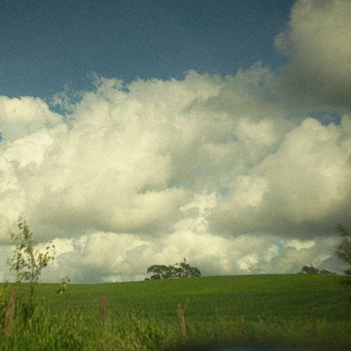 hay algo sobre el reflejo del cielo en el pavimento mojado que no me deja pensar en algo que no seas tú by Tori Inu