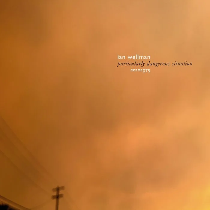 Particularly Dangerous Situation by Ian Wellman