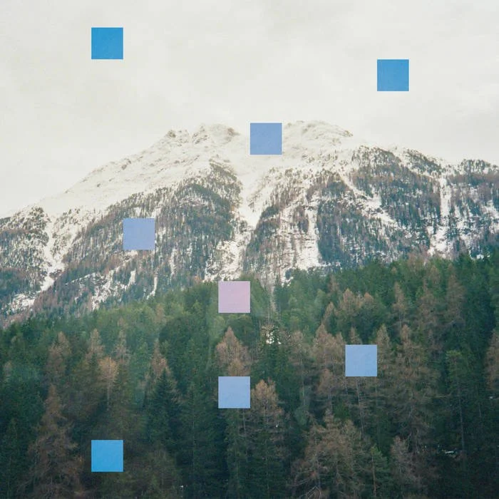 Egin Ez Dugun Guztia by Vibora