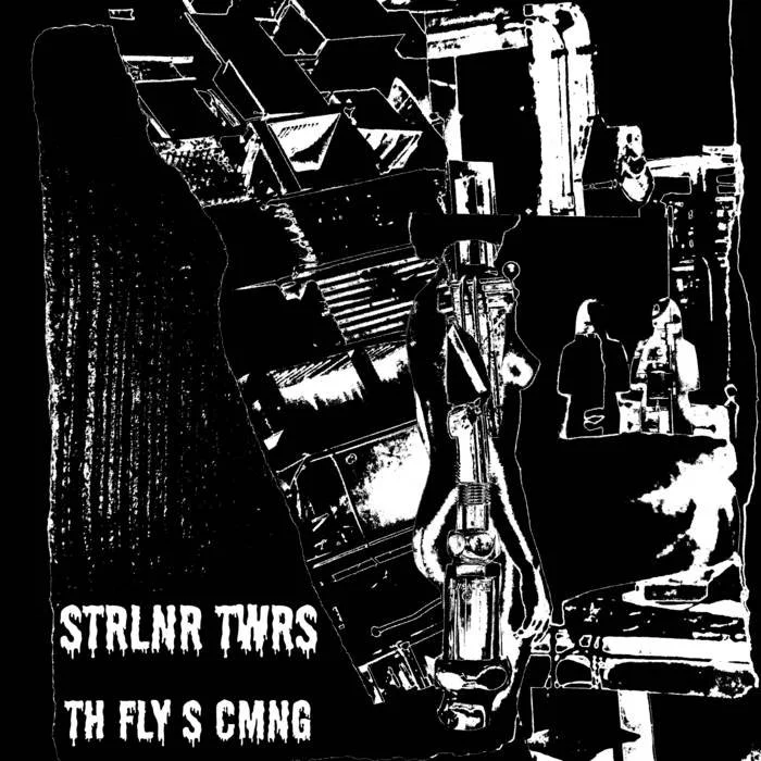 Th Fly S Cmng by Strlnr Twrs