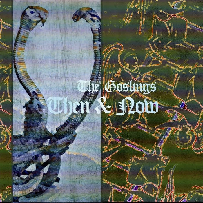 Then & Now by The Goslings