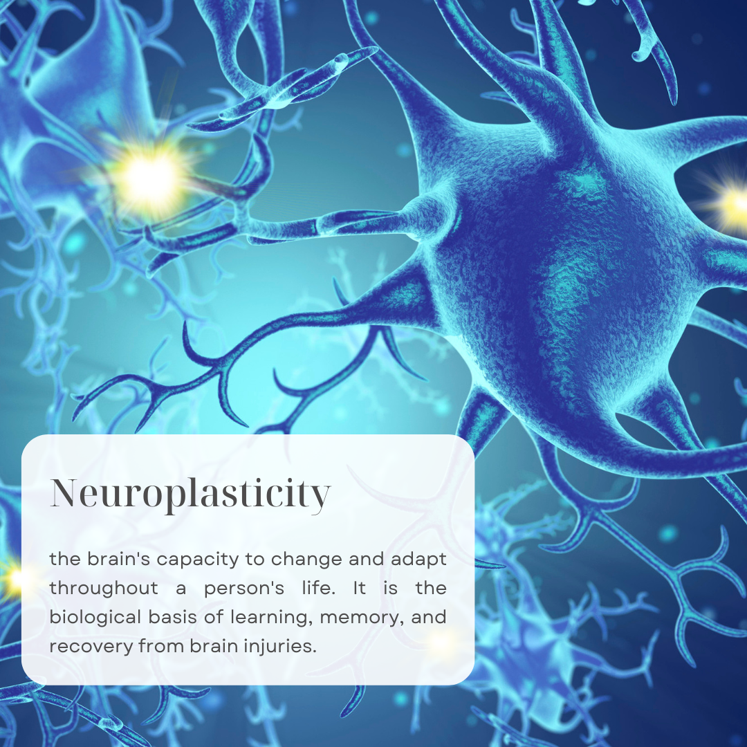 Neuroplasticity and Personal Growth