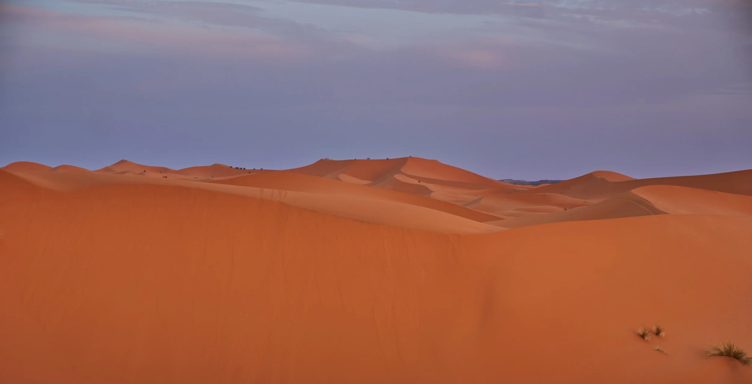 DSCF8338 Europe 2025 HR 2.jpg