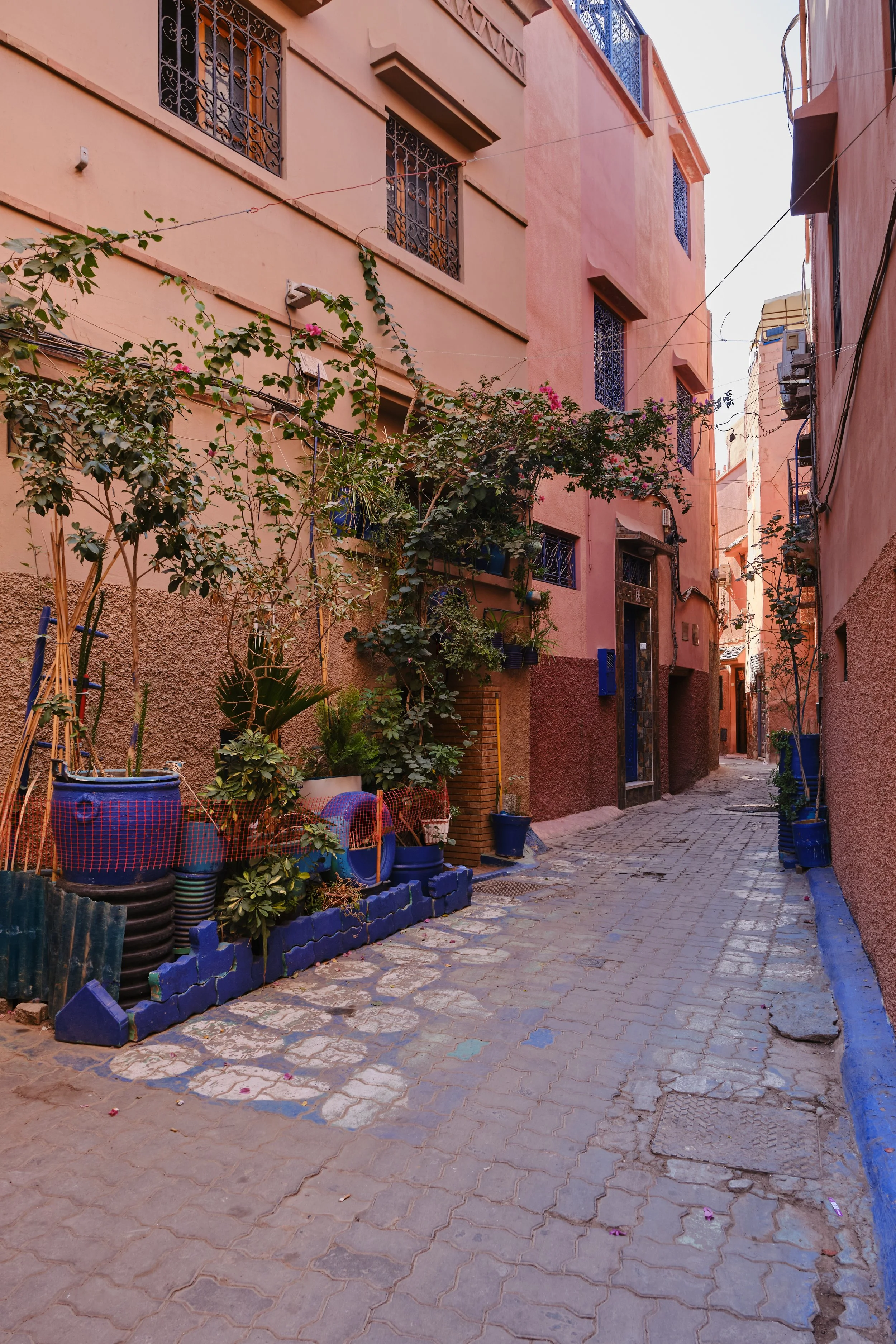 DSCF8672 Europe 2025 HR 2.jpg