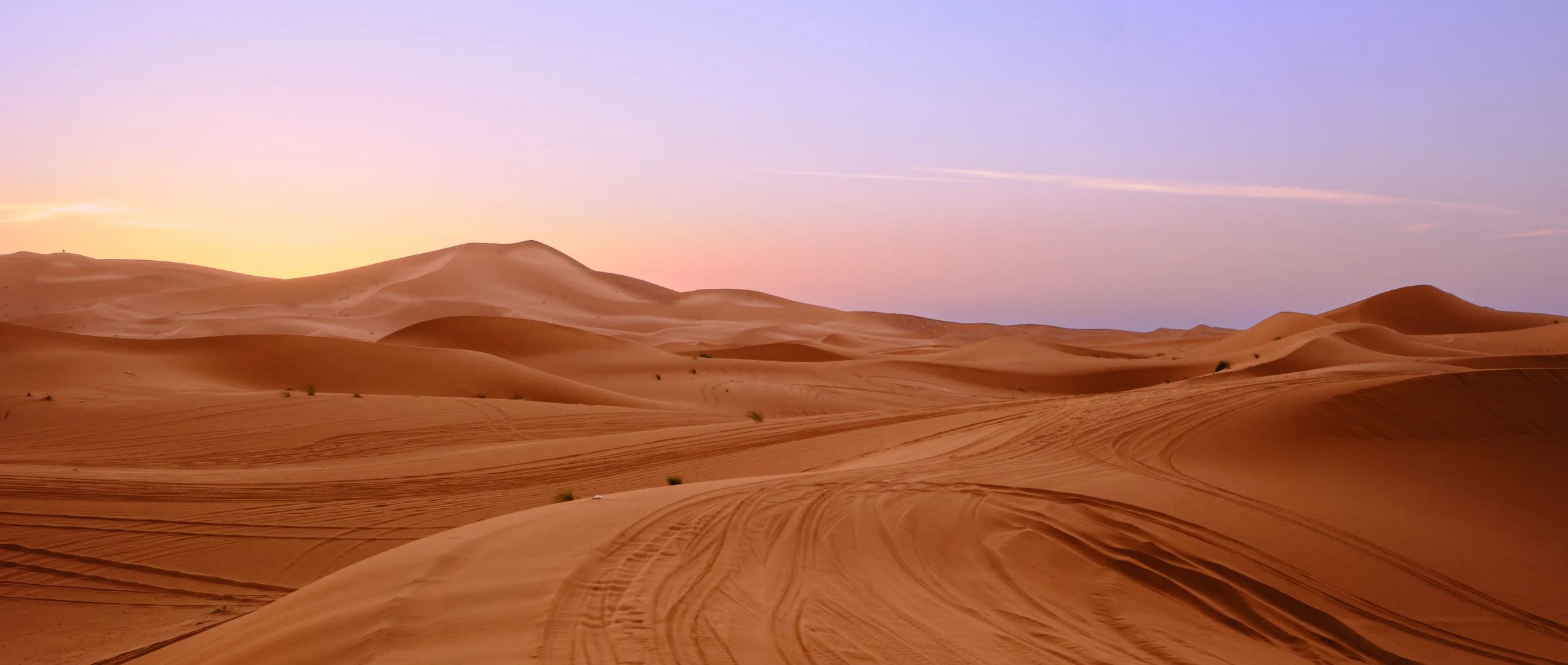 DSCF8432 Europe 2025 HR.jpg