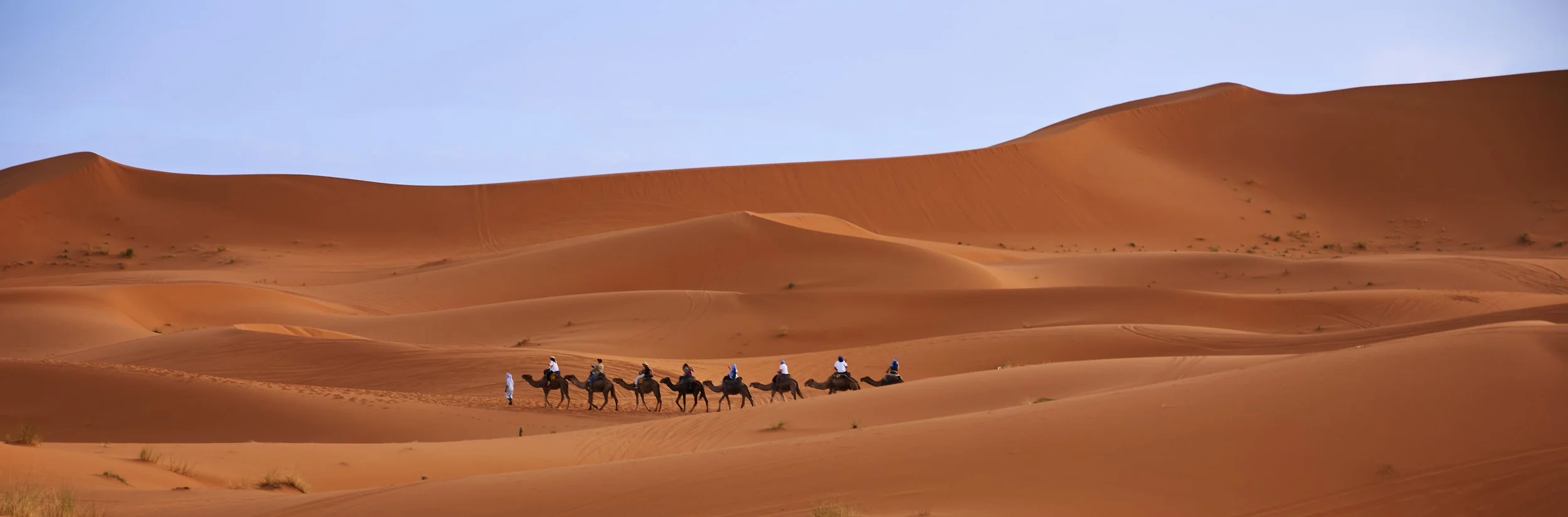 DSCF8323 Europe 2025 HR.jpg