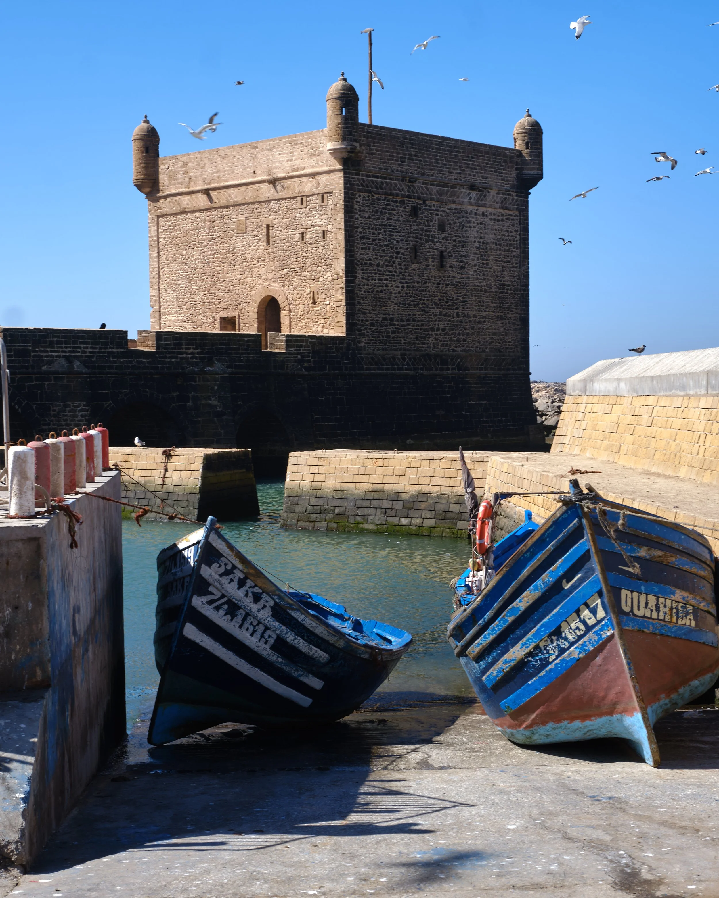 DSCF8689 Europe 2025 HR 2.jpg