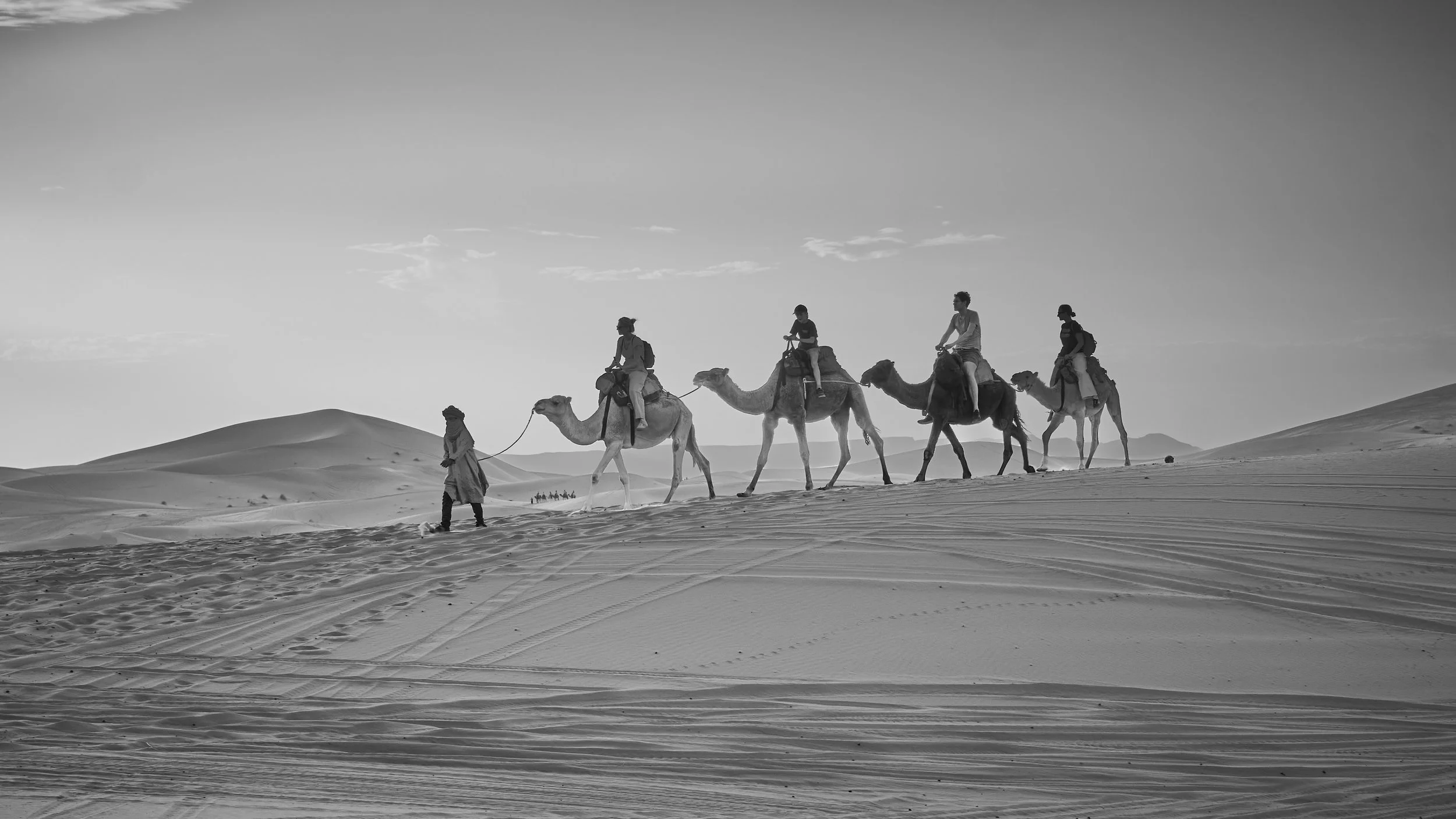 DSCF8307 Europe 2025 HR 2.jpg