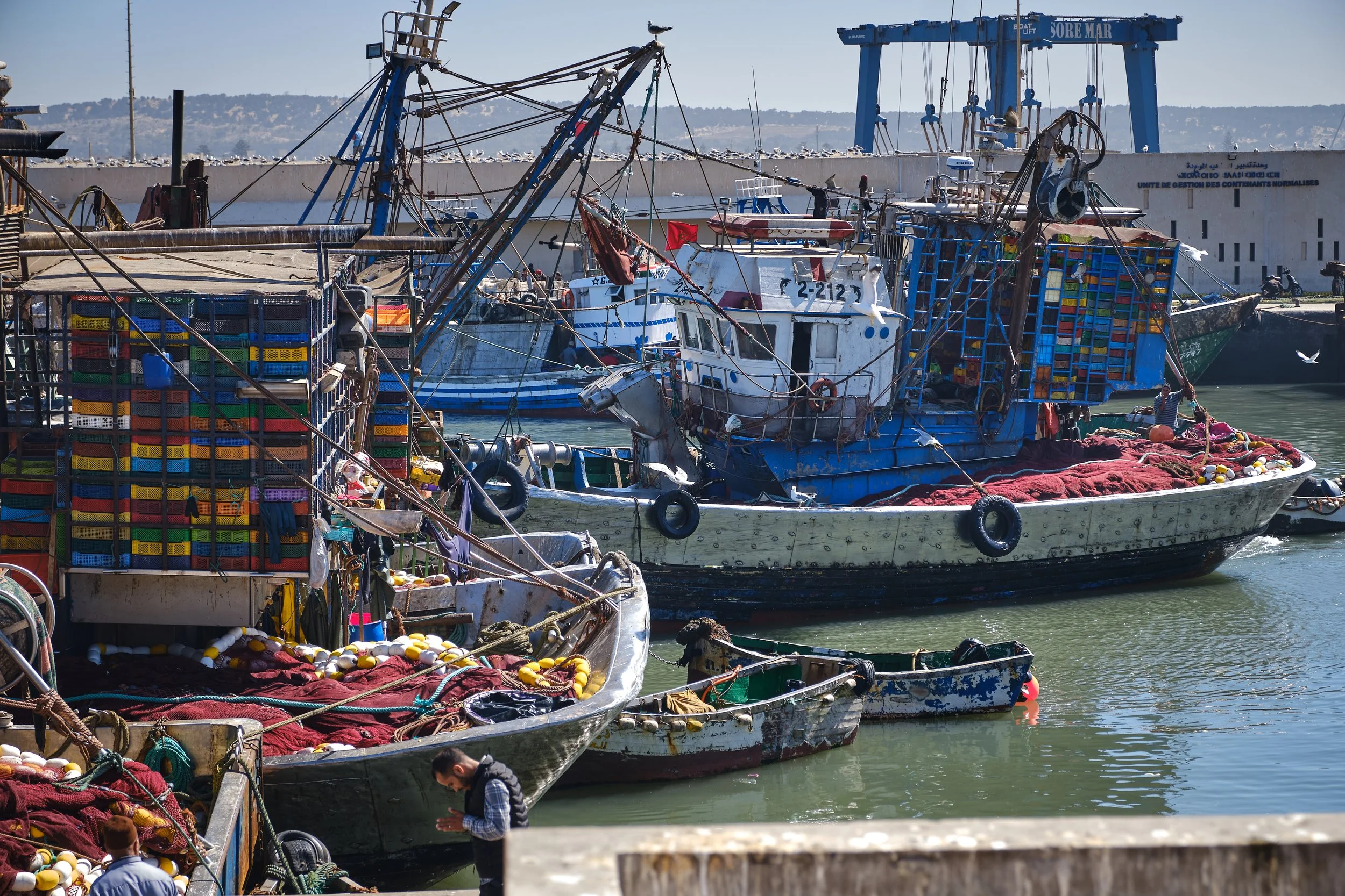 DSCF8721 Europe 2025 HR 2.jpg