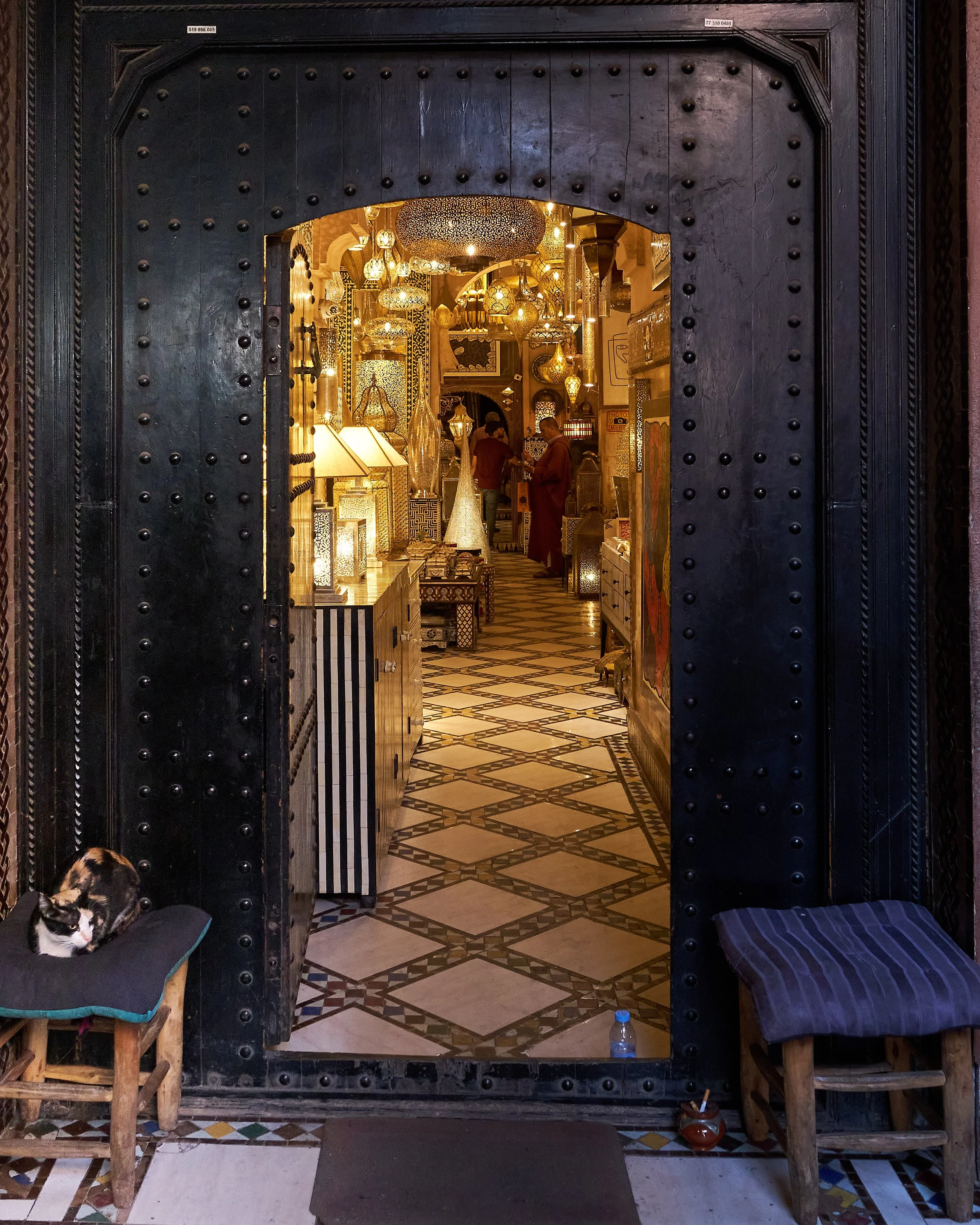 DSCF8033 Europe 2025 HR 2 HR crop.jpg