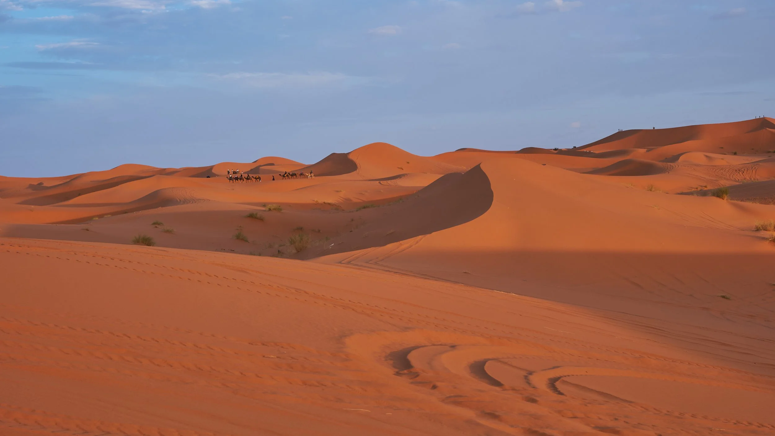 DSCF8314 Europe 2025 HR 2.jpg