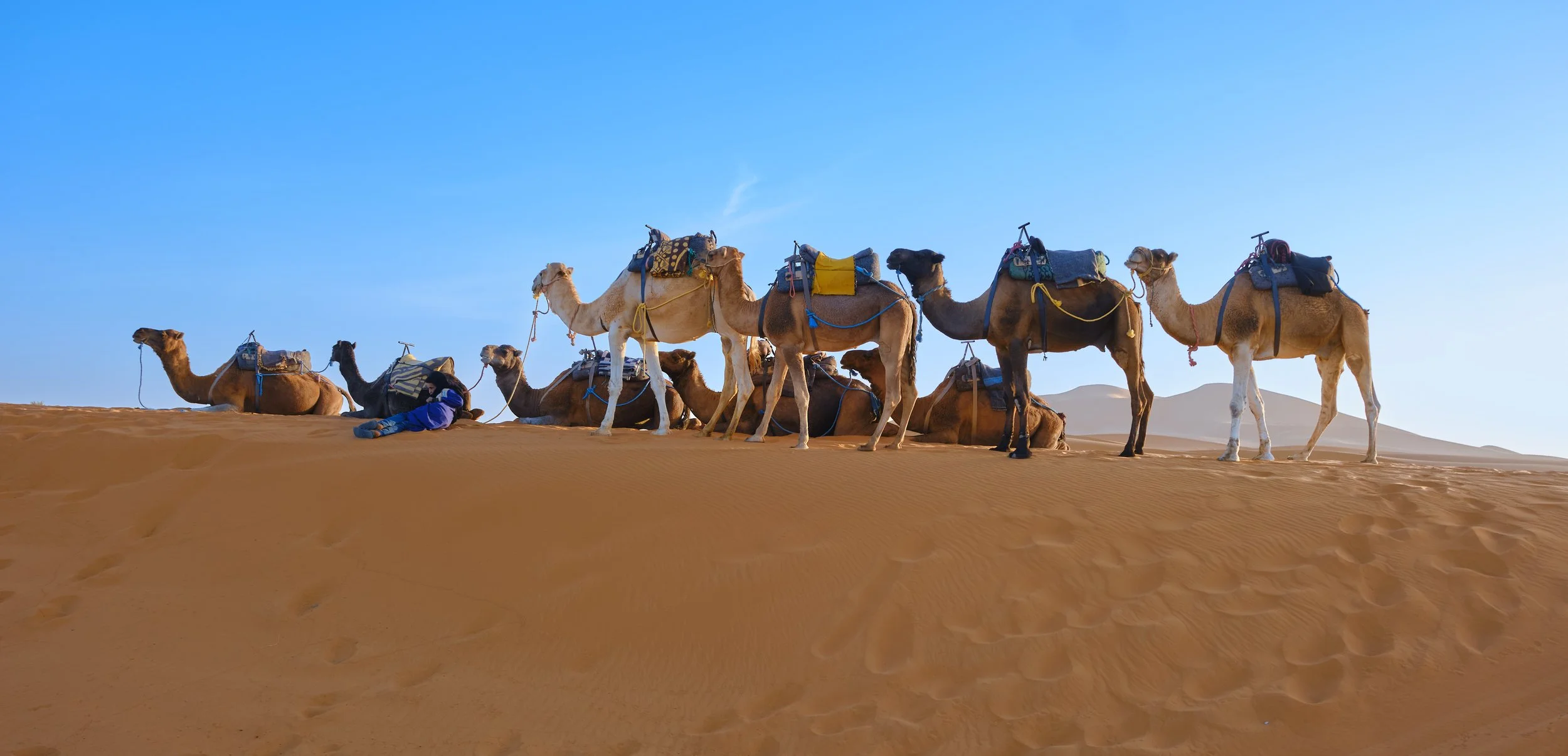 DSCF8474 Europe 2025 HR 2.jpg