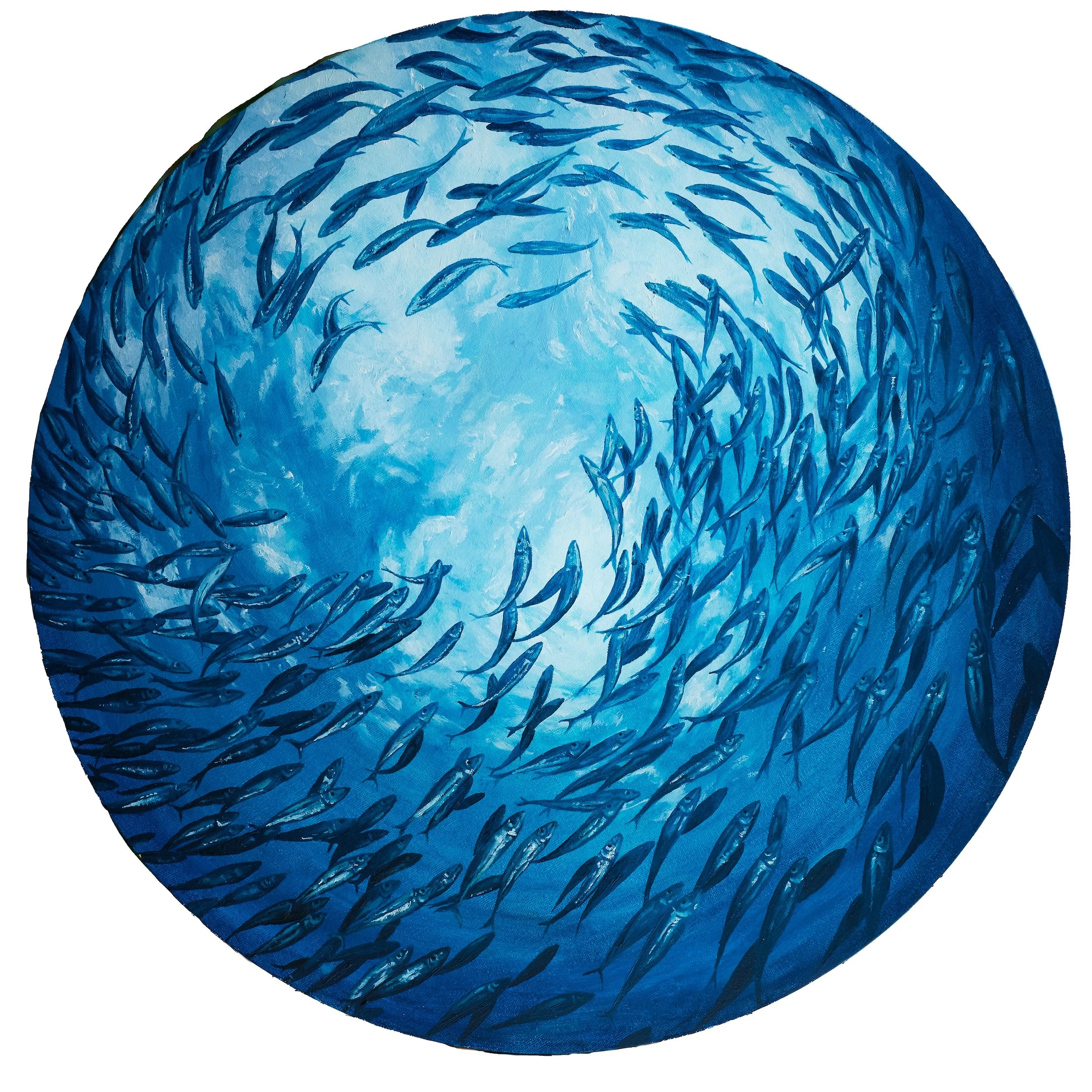 DSCF6883 Coni 20250919 HR.jpg