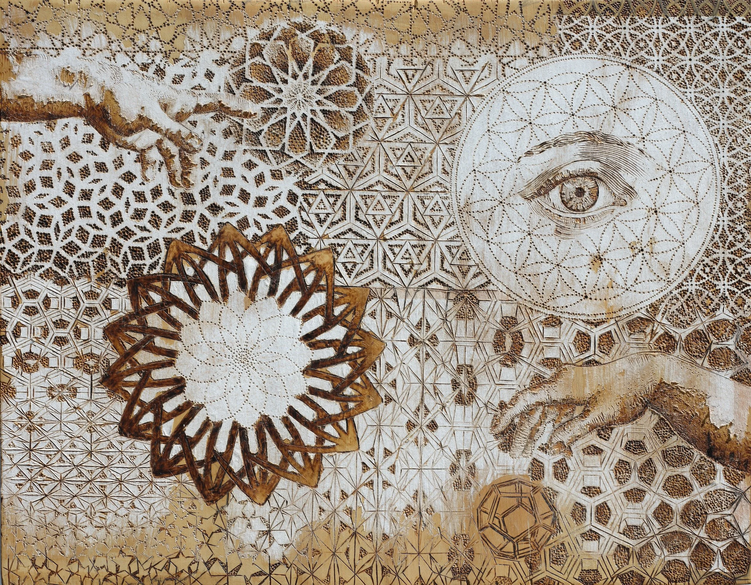 DSCF6916 Coni 20250919 HR.jpg