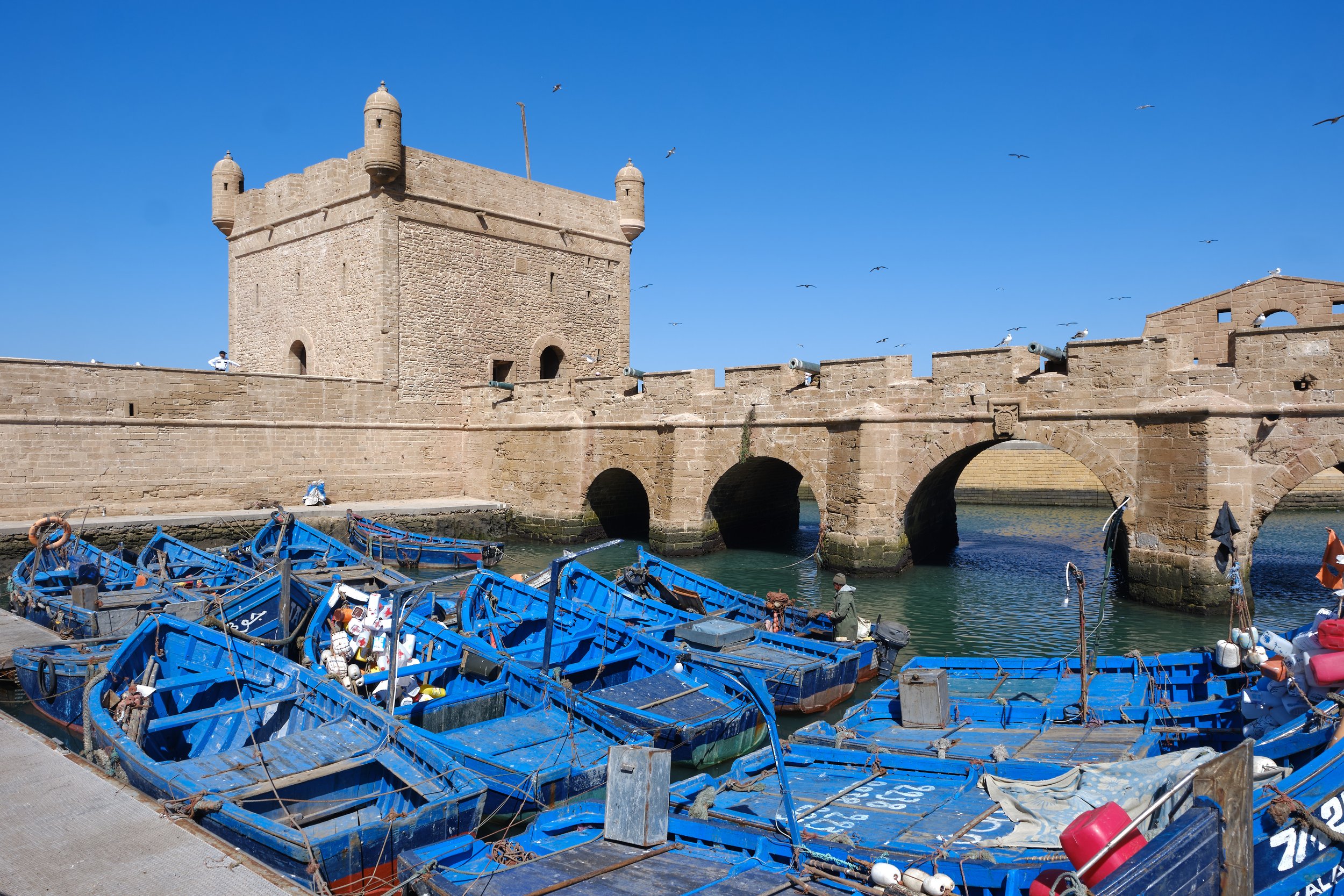 DSCF8701 Europe 2025 HR 2.jpg