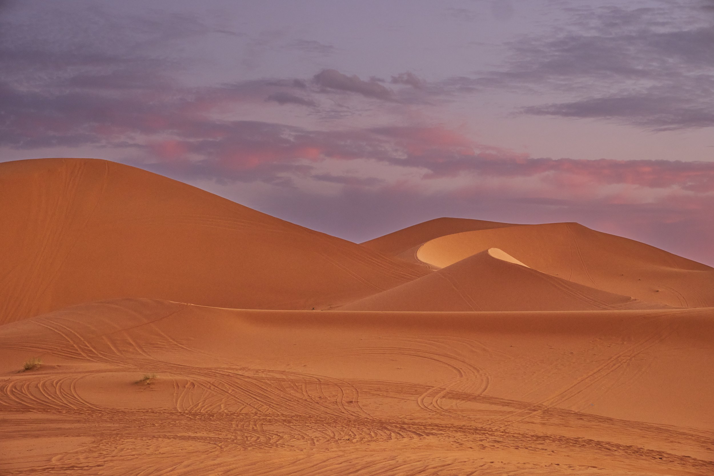 DSCF8373 Europe 2025 HR 2.jpg