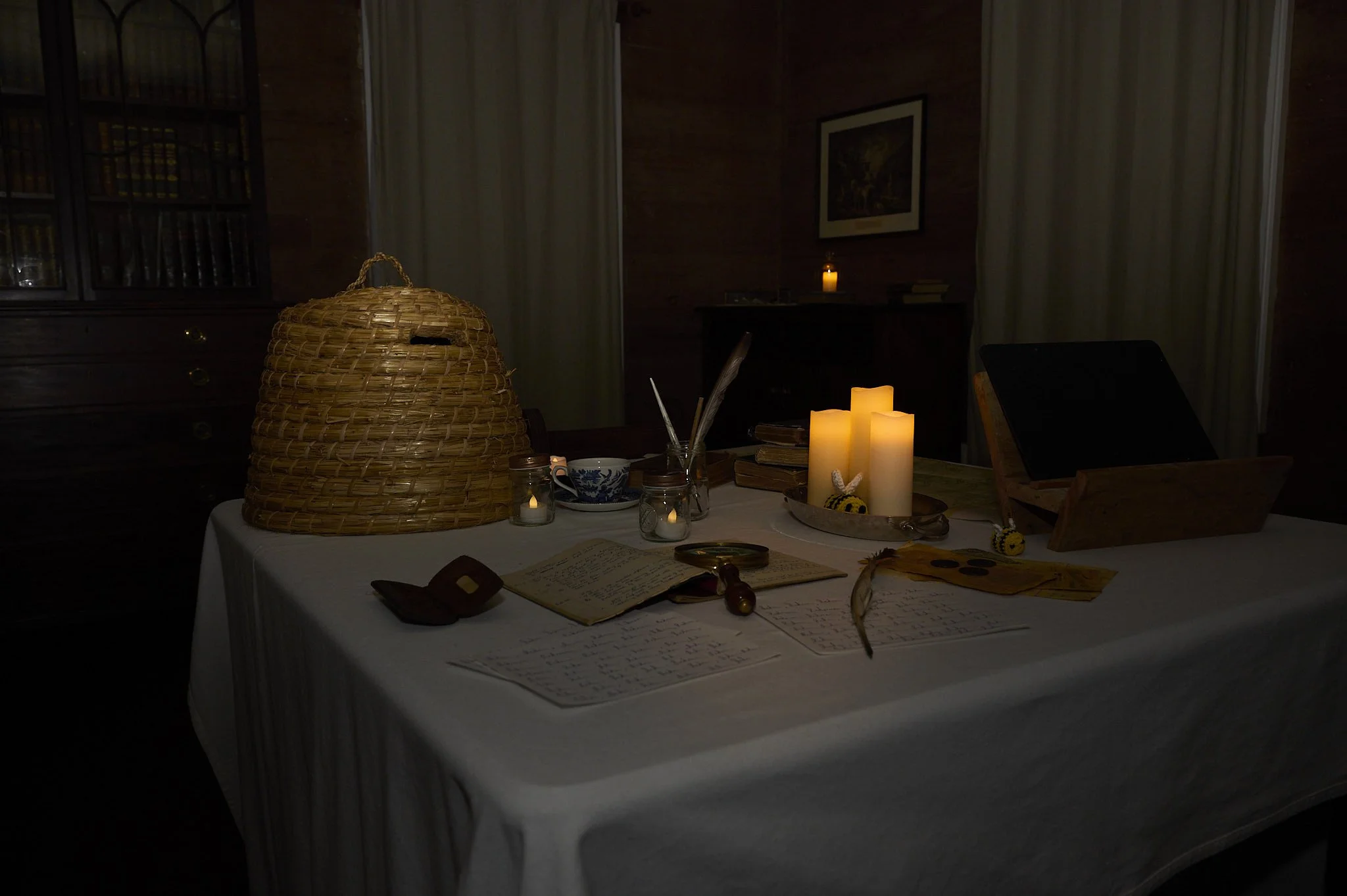 DSC_6470 HNZ Night at Museum 2025 web.jpg