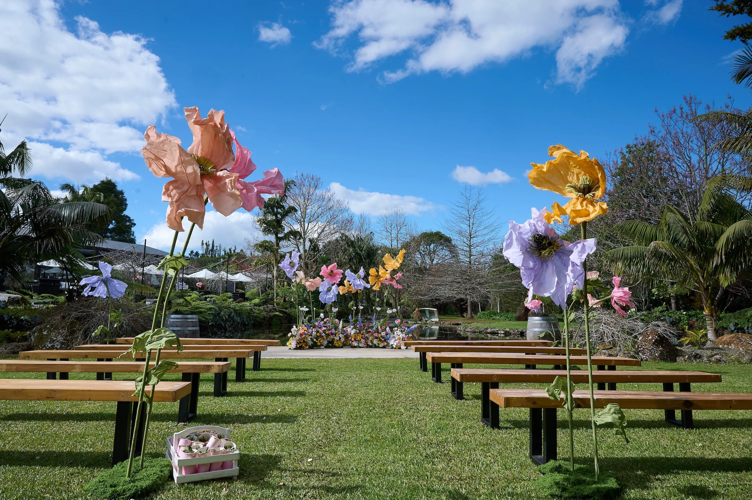 DSC_5999 James & Cadence 20250822 HR.jpg