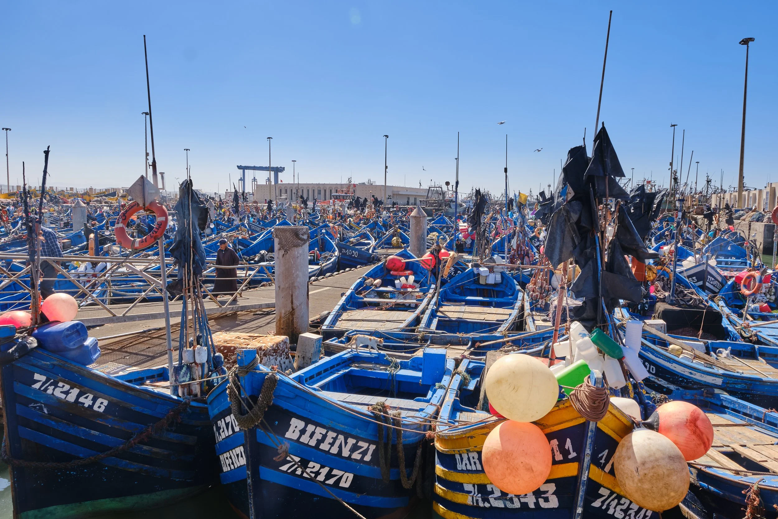 DSCF8730 Europe 2025 HR 2.jpg