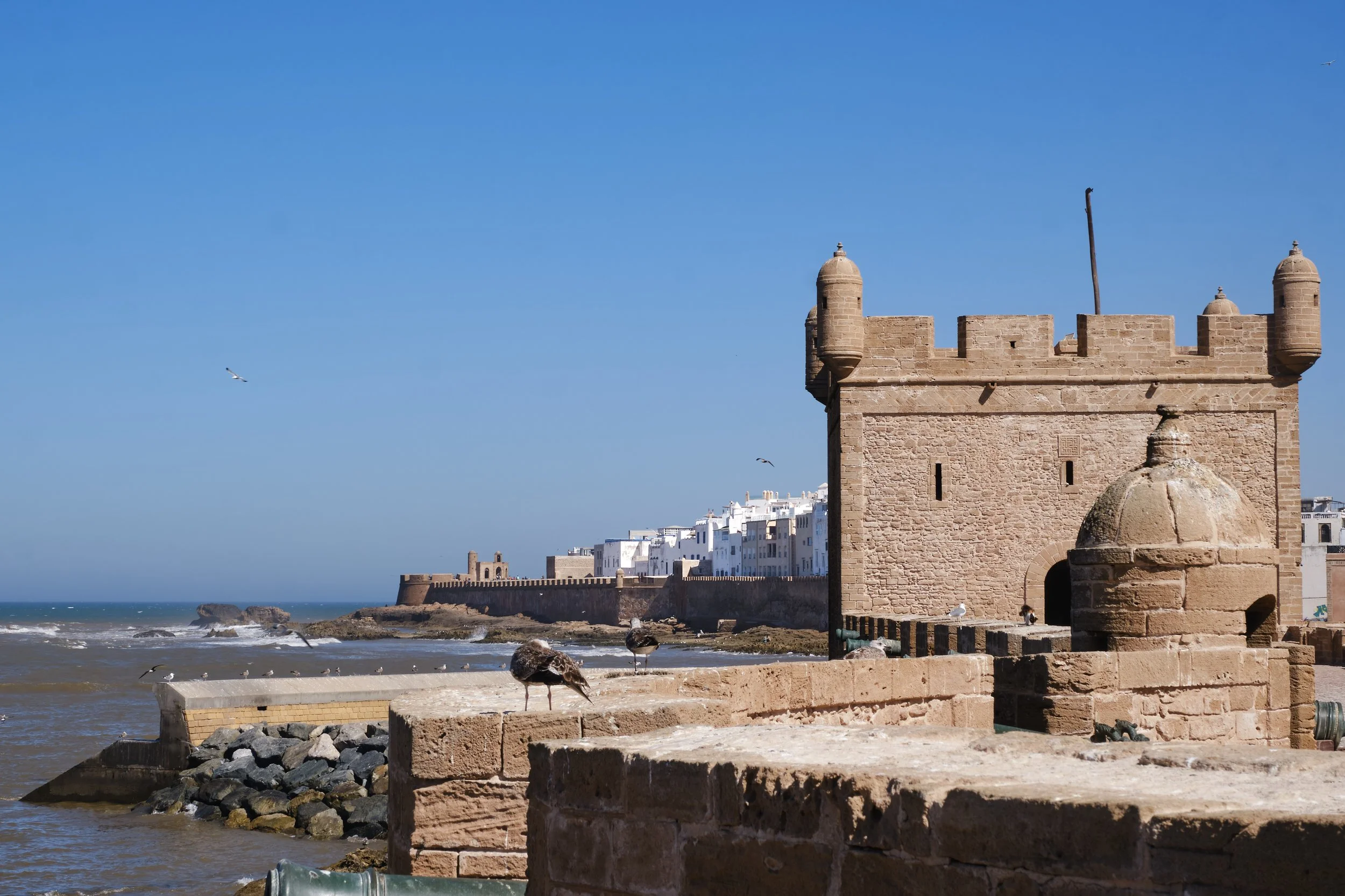 DSCF8706 Europe 2025 HR 2.jpg