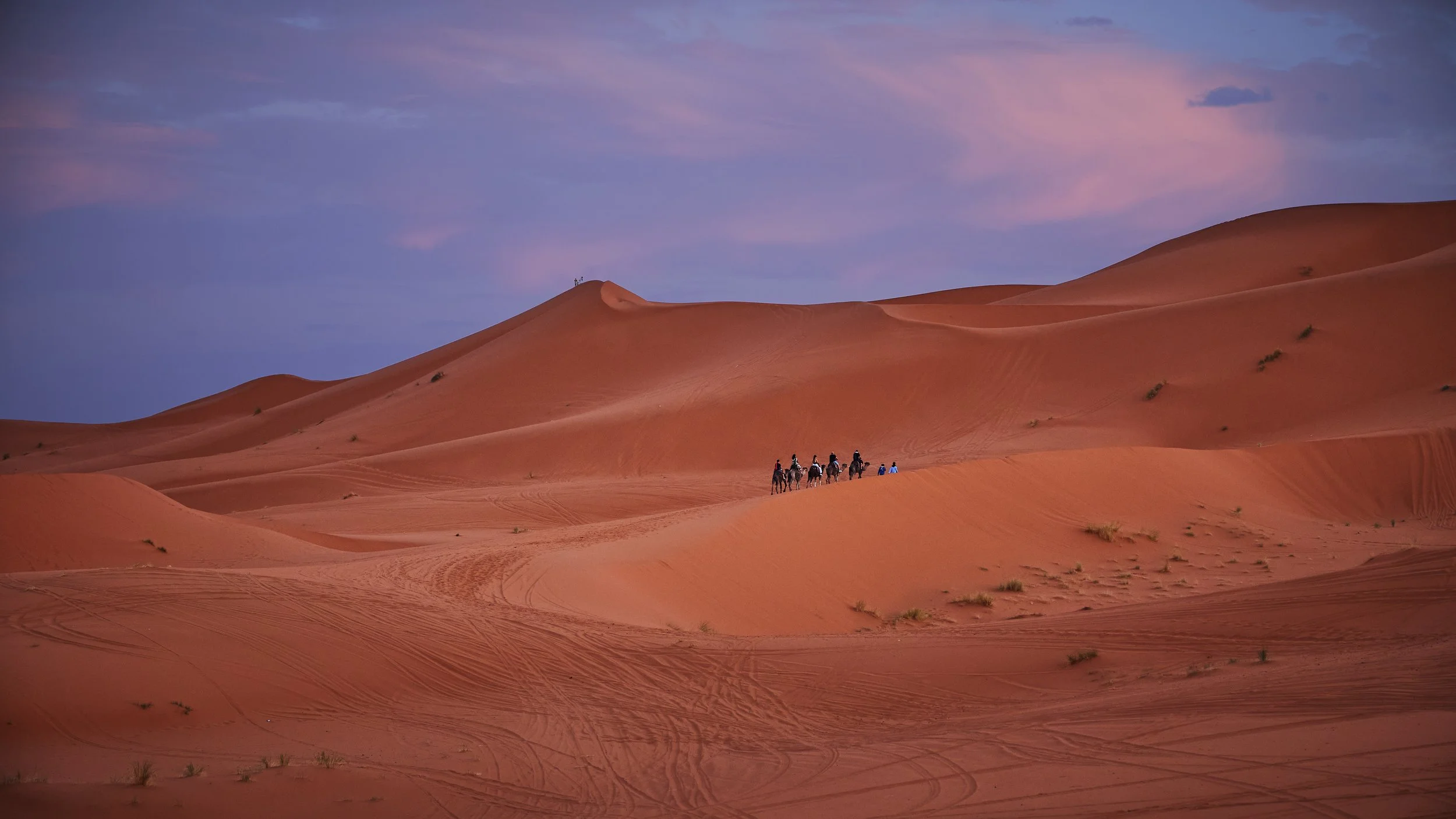 DSCF8359 Europe 2025 HR 2.jpg