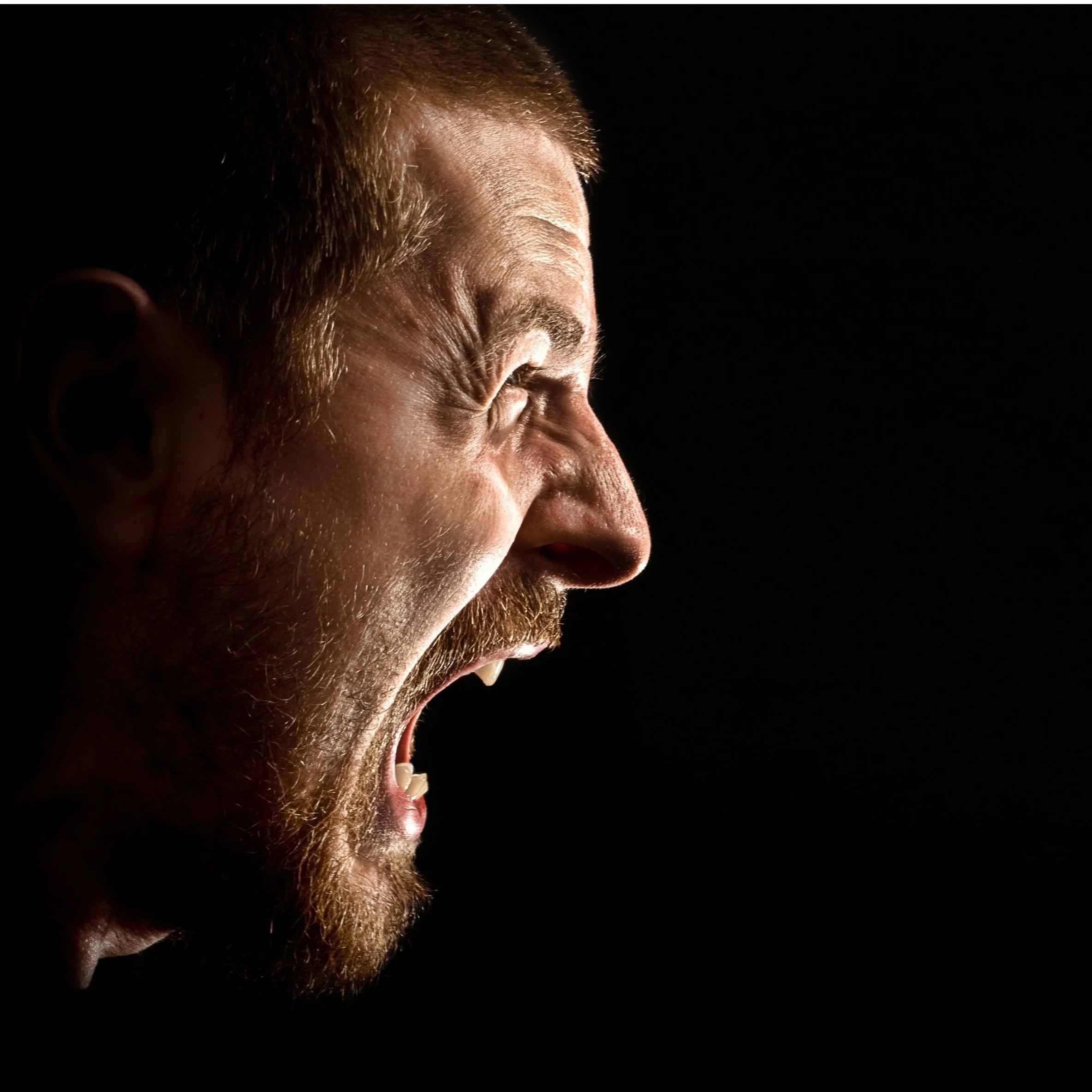 Singing Lessons, Singing Voice Rehabilitation, Music Immersion, Vocal ...