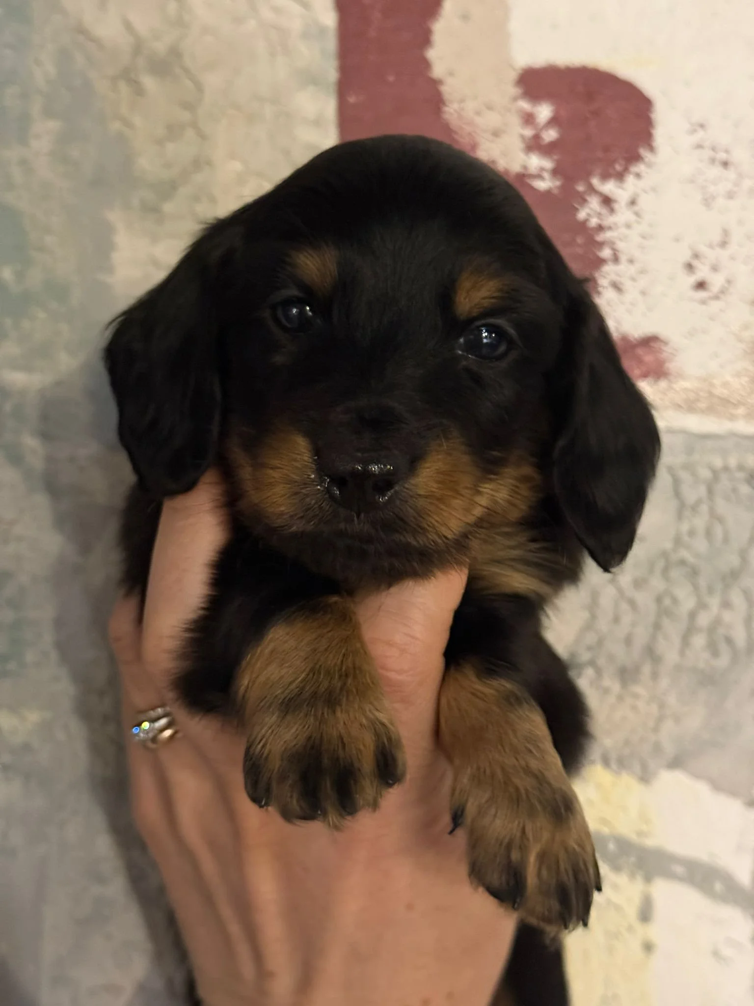 WhatsApp Image 2026-04-01 at 11.22.33 (2).jpeg