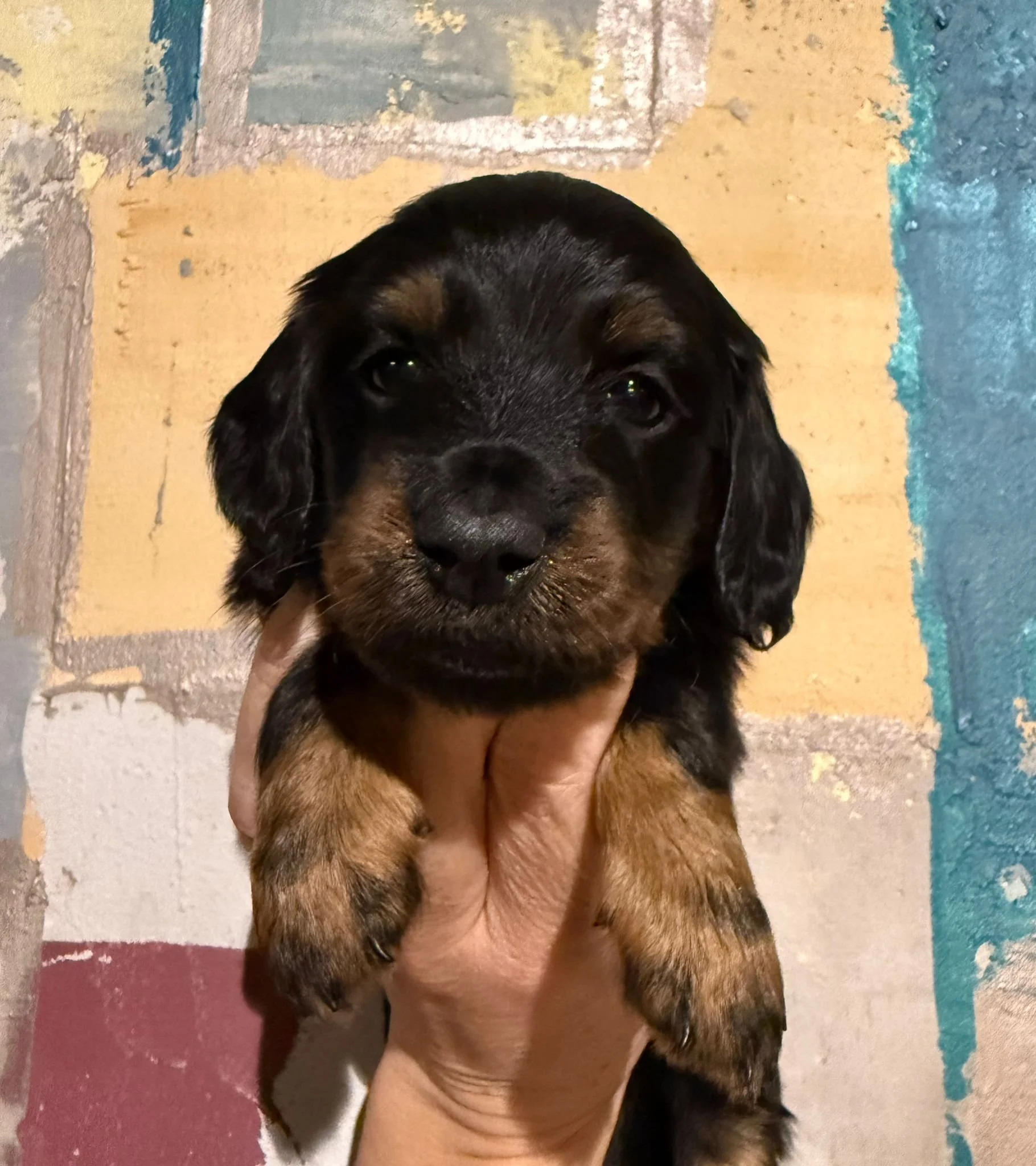 WhatsApp Image 2026-04-01 at 11.22.33.jpeg