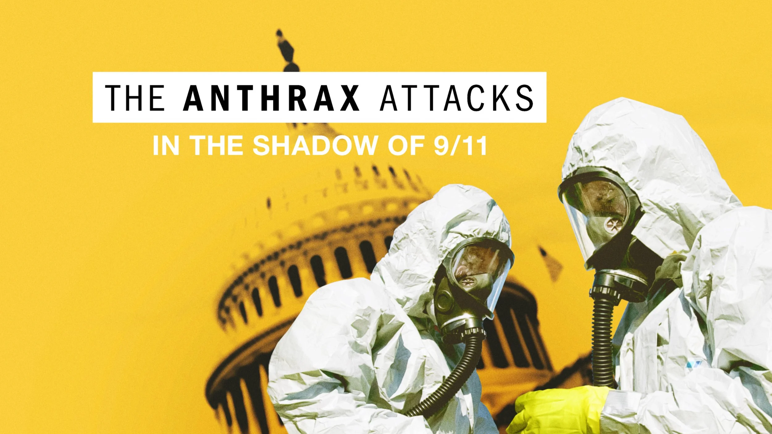 Designed at Territory Studio