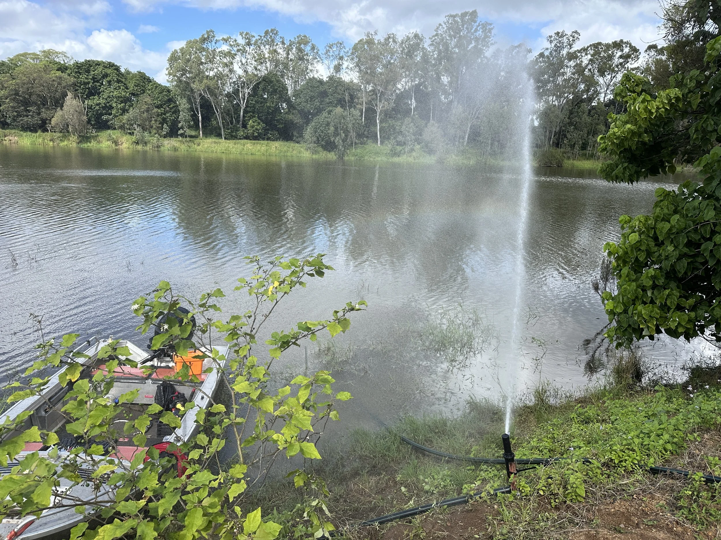 sprinkler.JPG