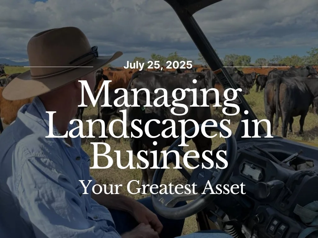 Managing Landscapes in Business - Your Greatest Asset