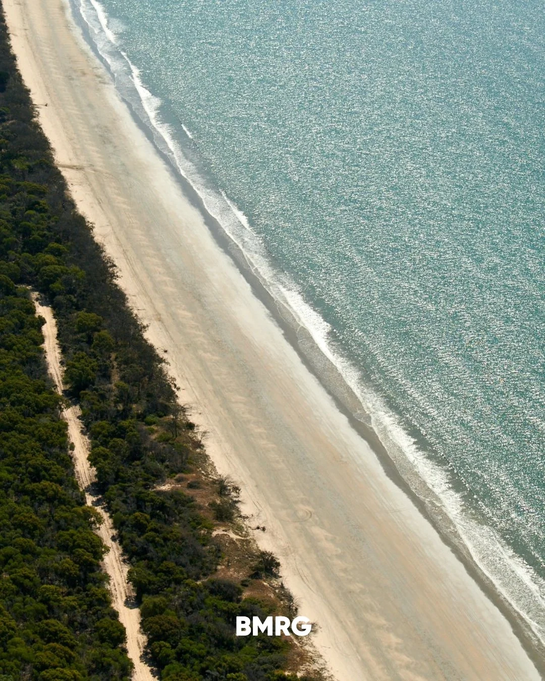Protecting Turtles from Fox Predators

Through the Nest to Ocean project, BMRG and partners delivered a 4 km fox control program to safeguard turtle nests -helping more hatchlings reach the ocean.

👉 Read more at the link in bio