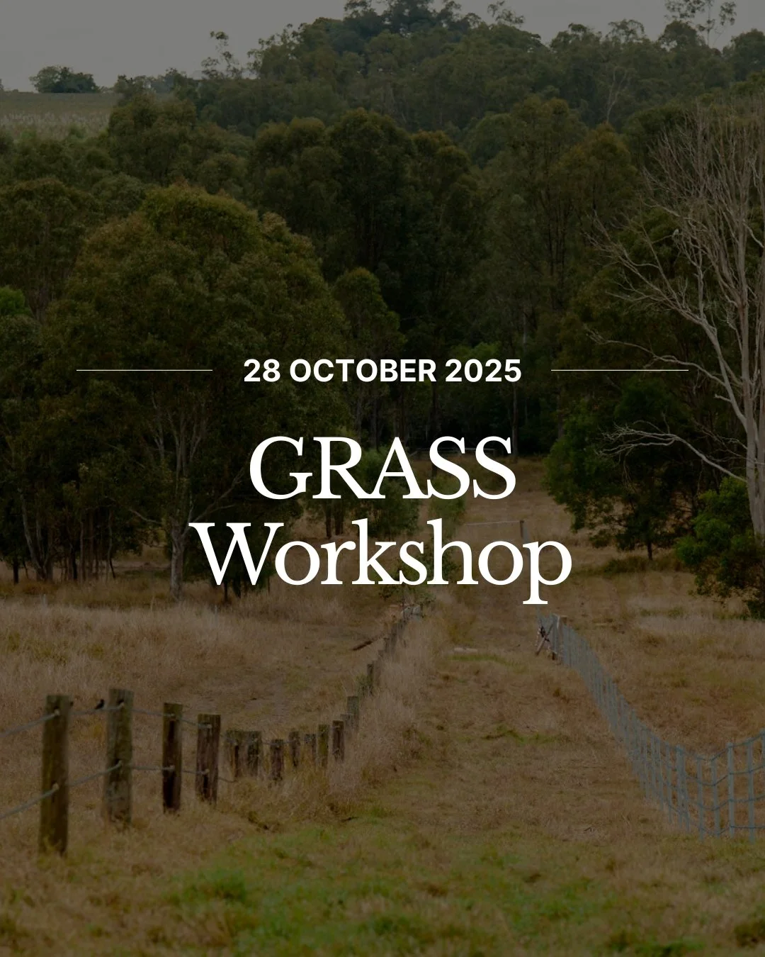Calling all grazing businesses!
Join us in Eidsvold on 28 October for the GRASS Workshop &mdash; a hands-on session designed to help graziers improve land condition, reduce soil loss, and strengthen pasture productivity.

You&rsquo;ll gain practical 