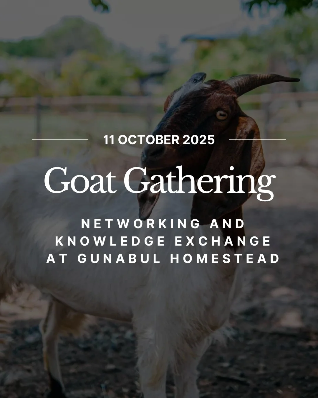 BMRG are excited to support the work of QGoat with their upcoming workshop for goat producers, both big and small.

📅 Date: 11th October 2025
📍 Location: Gunabul Homestead, 9 Power Rd, Gympie

Join us for expert presentations on:
- Parasite managem